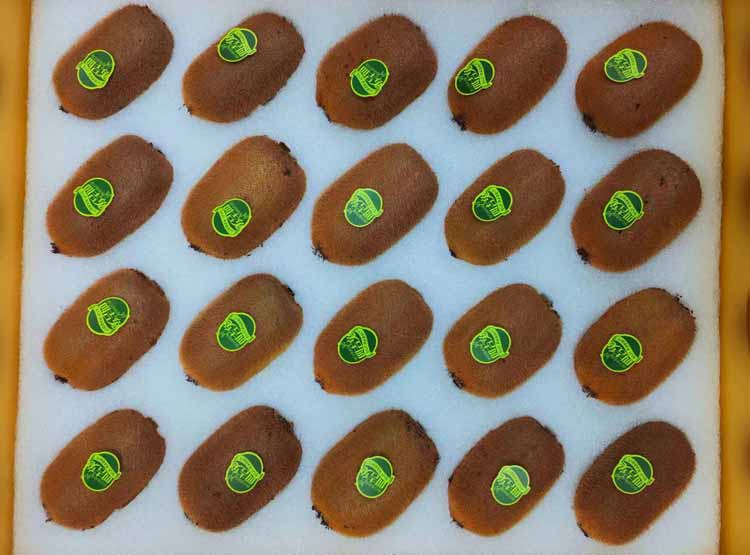 沈陽展廳的設(shè)計理念應(yīng)如何凸顯？